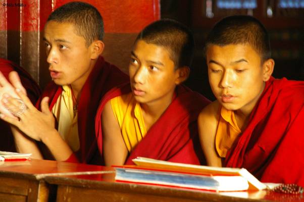 Indien; Sikkim; Kalimpong, Mönche