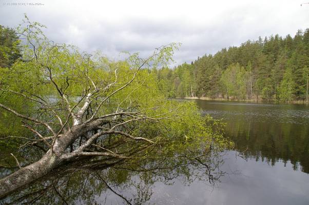 Finnland; Nuuksio; National Park