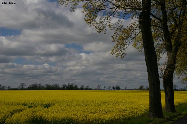 Polen; Pommern; Felder 2