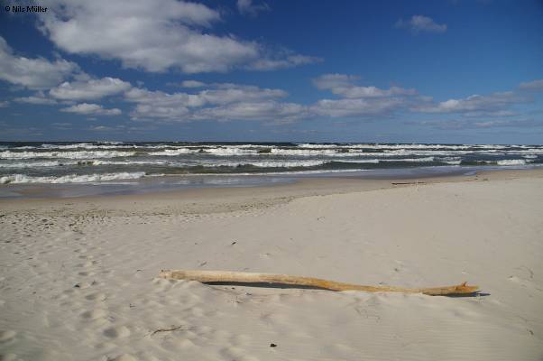 Polen; Kahlberg; Strand 2