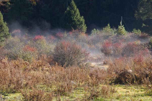 Bhutan; Bumthang; Bumthang-Tal