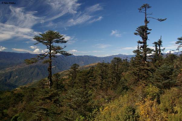 Bhutan; Trongsa; Landschaft