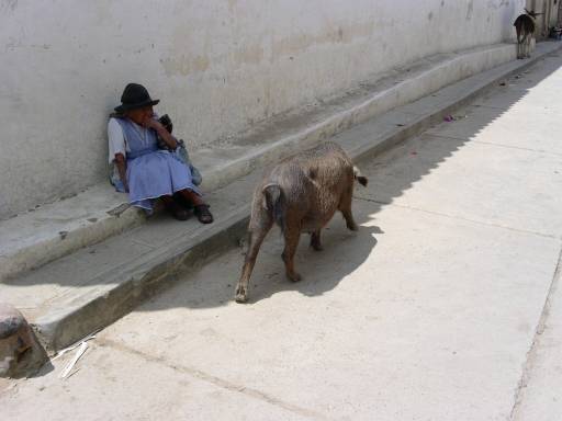 Bolivien; Tarabuco; alte Frau