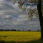 Pommern | Felder 2