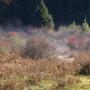 Bumthang | Bumthang-Tal